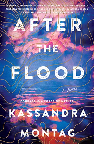 After the Flood: A Novel