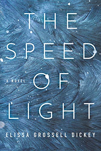 The Speed of Light: A Novel